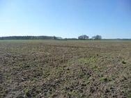 1,26 ha Ackerlandverkauf in 49593 Bersenbrück / 49597 Rieste, OT Bieste - Bersenbrück