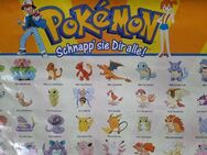 Großes, altes Pokemon- Poster für Sammler - selten „Schnapp sie dir alle“ - Niederfischbach