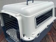 Hundebox Größe M - Dortmund