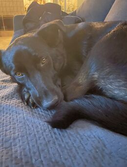 Black is Beautyfull.... - Bocholt