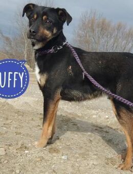 Ruffy ein braver Bub - Mannheim