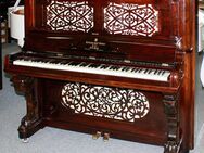 Klavier Steinway & Sons T-145 Palisander poliert, Nr. 29496, 5 Jahre Garantie - Egestorf