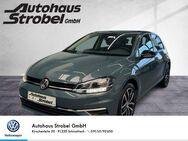 VW Golf VII 1.0 TSI "IQ DRIVE" ACC Navi Park Ass. Climatronic Bluet. Sitzh. - Schnaittach