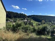 SCHÖNER AUSBLICK INS TAL - Horb (Neckar)