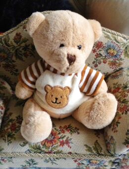 Althans Club-Plüsch-Teddy,ca. 19 cm - Linnich