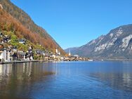 Ehremamtlicher Begleiterin oder Begleiter für eine Reise ins Salzkammergut gesucht - München Untergiesing-Harlaching