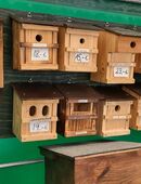 Artenvielfalt für Fledermaus, Vögel mit Nistkästen erhalten in 28719