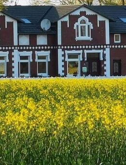 Dithmarscher Bauernhaus mit Hausweide, Boxen für Pferde/Schafe/Alpakas, Heuboden, modernisiert - Hemme