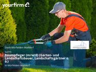 Baumpfleger (m/w/d) (Garten- und Landschaftsbauer, Landschaftsgärtner o. ä.) - Mörfelden-Walldorf