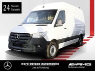 Mercedes Sprinter, 3olzfußboden, Jahr 2020 - Heide