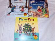 Pixi Pixis Maxi Buch Bücher Weihnachten Adventskalender neu - Kleinkahl