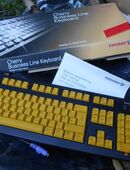 Cherry G83 - 6105 - - Allgäu - TOM in 80335