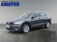 VW Tiguan, 2.0 TDI Highline, Jahr 2019 - Zetel