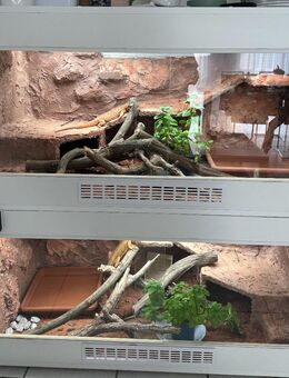 großes Terrarium für 2 Reptilien. - Düren