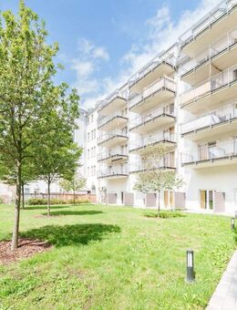 Charmante Maisonette-Wohnung in Dresden-Neustadt zur Miete - Wentzel Dr. - Dresden