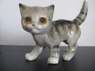 Porzellanfigur-Katze Goebel - Arnstadt