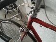 Batavus in 7302