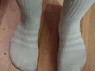 Getragene Socken - Flensburg Innenstadt