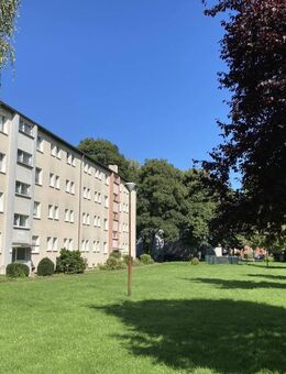 Demnächst frei! 3-Zimmer-Wohnung in Duisburg Röttgersbach - Duisburg