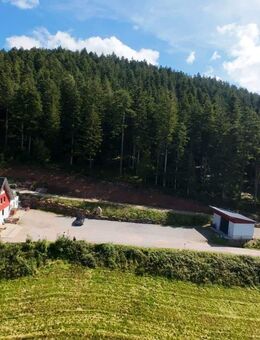 Exklusives Schwarzwaldrefugium - Zeit für Freunde, Familie und besondere Momente - Schenkenzell