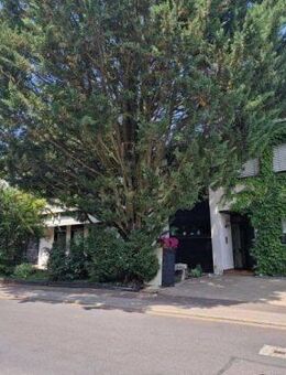 Kapitalanleger! Einfamilienhaus / Bungalow mit Einliegerwohnung in 97456 Dittelbrunn (ID 10338) - Dittelbrunn