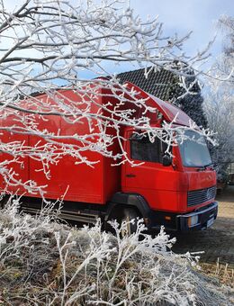 Lkw,Kasten,geschlossen - Neuenkirchen (Landkreis Osnabrück)