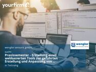 Praxissemester - Erstellung eines webbasierten Tools zur geführten Erstellung und Anpassung von Produktions- und Prozessdaten mit integriertem Freigabeprozess (Softwareentwicklung) - Tettnang