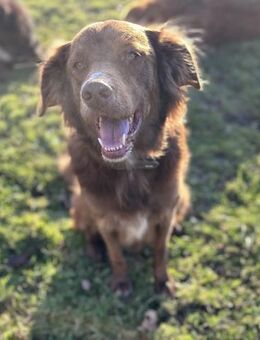 Milow - ich brauche Führung - Süderdorf