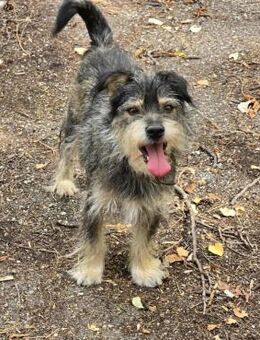 MONI ist ein richtiger Menschenfreund ♥️ - München