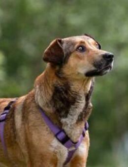 Soziale Rita sucht ihre Menschen - Duisburg