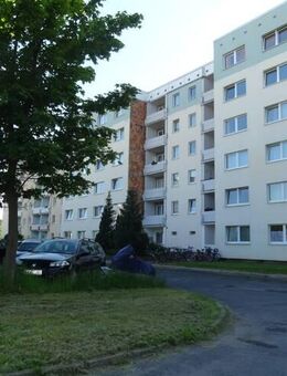 Voll möblierte Wohnung - Greifswald