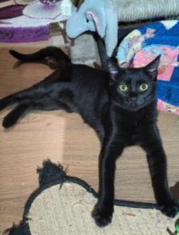 AMY ist ein kleines Wunder ♥️ - München