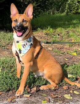 Malik süßer Pausenclown - Obertshausen