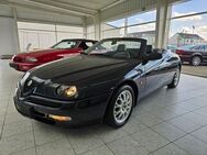 Alfa Romeo Spider | Leder | Klima - Bad Kreuznach