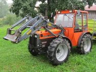 Holder C 870 Kleintraktor Allrad, Ideal für Ihren kleinen Bauernhof! - Veilsdorf