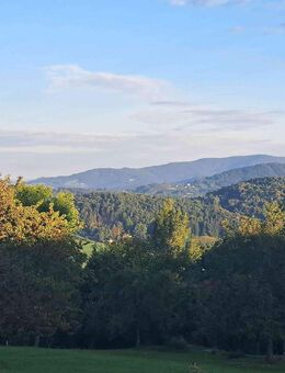 Hofstelle mit Bebauungsplan für einen 3 Spänner - Deggendorf