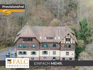 Mehrheit in der WEG - 4 denkmalgeschützte Einheiten in Neuenbürg-Rotenbach - Neuenbürg