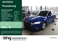 Skoda Octavia, 2.0 TDI Combi Style Octavia Combi, Jahr 2021 - Balingen