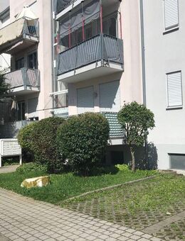 Hübsche 2 Zimmer WHG in Singen - Singen (Hohentwiel)