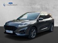 Ford Kuga ST-Line - Duderstadt