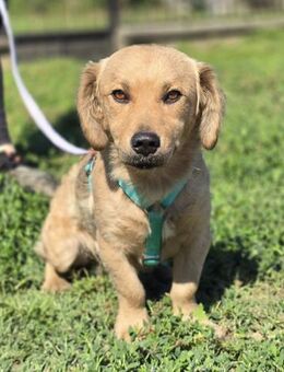 ❤️ Kaiser - Kissing