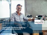 Teamleiter Geräteverwaltung / Energiebranche (m/w/d) - Maxdorf
