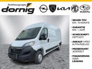 Opel Movano, 3.5 Cargo L3H2 t City Paket, Jahr 2024 - Helmbrechts