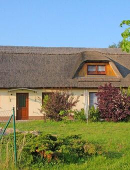 Solide Kapitalanlage - Reetdachhaus mit 3 Wohneinheiten - Korswandt
