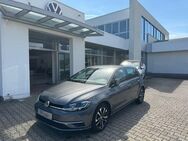 VW Golf, 1.6 TDI 7 IQ DRIVE, Jahr 2019 - Pasewalk