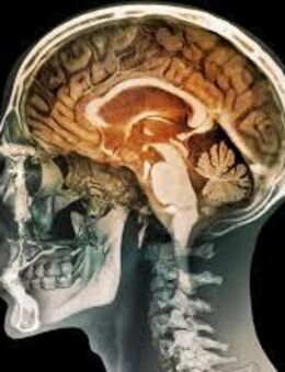 Esoterische Hilfe bei Neuropathie - Blankenfelde-Mahlow