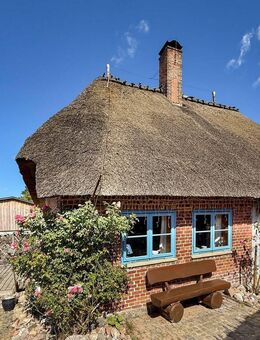 Charmantes Reetdachhaus in ruhiger und ostseenaher Lage - Dörphof