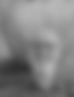 Die*** - Schwerte (Hansestadt an der Ruhr)