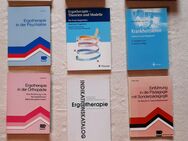 Sachbücher-Konvolut: 18 Bücher,Bereich: Therapie u. Medizin - Hagen (Stadt der FernUniversität)