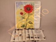 Einzigartiges Sonnenblumen Set Mischung Sonnenblume Feld Mix Geschenk Geburtstag Mischung Sonnenblumen Garten Geschenkset bee insektenfreundliches Saatgut garden Geschenk Sonne Sonnenblumenstrauß Frühling SWR Vatertag Blumenwiese - Pfedelbach